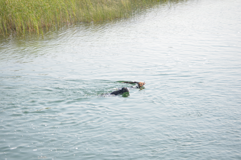 Illustration for article titled Photo Mission Gallery: Water